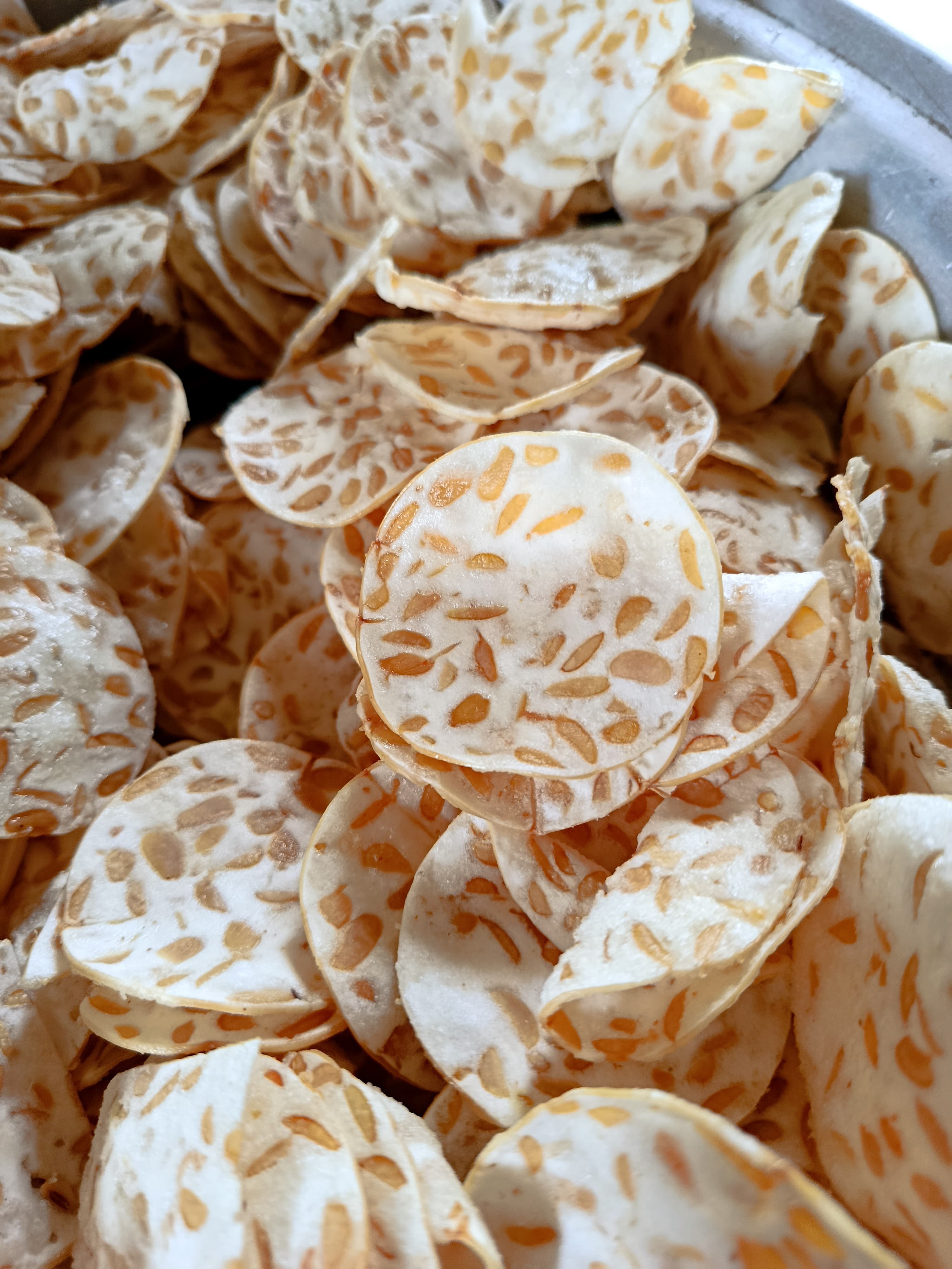 Produk Kripik Tempe dari Yayarizquna